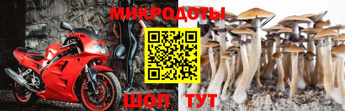 Южно-Сахалинск  Псилоцибиновые грибы ЛСД  Псилоцибиновые грибы Magic Shrooms  Вход с VPN 